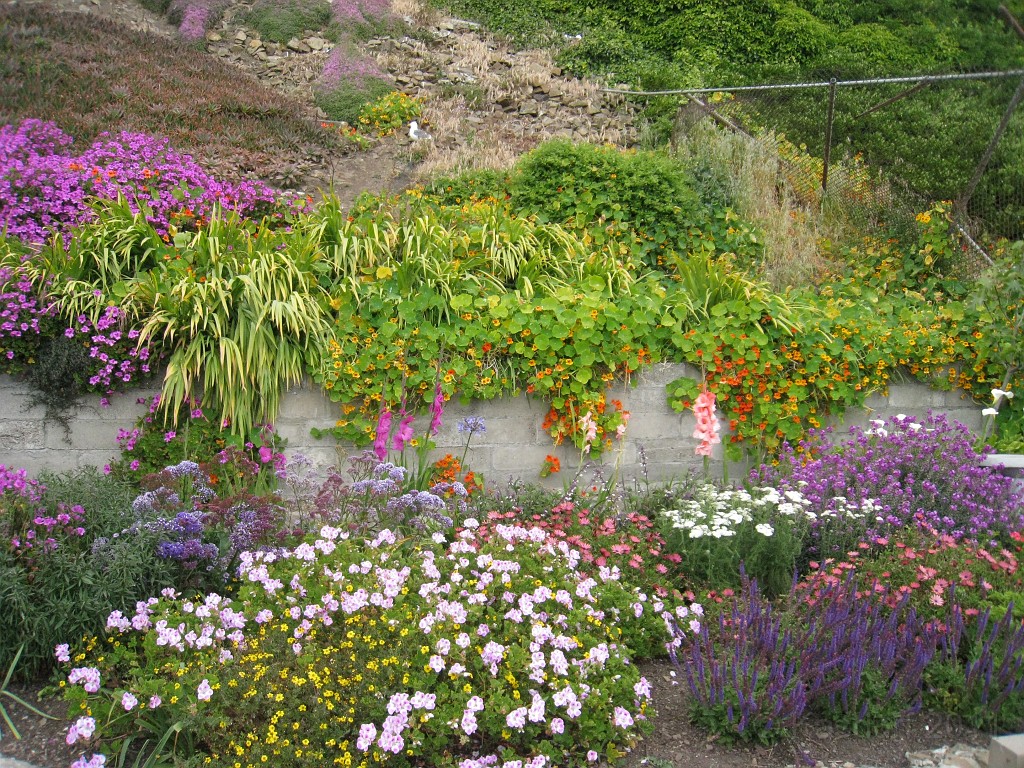 2011 Bay 2 Breakers Saturday 0780.JPG - I was able to participate in the 2011, 100th anniversary of the San Francisco Bay to Breakers 12K race. A great weekend for sight seeing and racing.